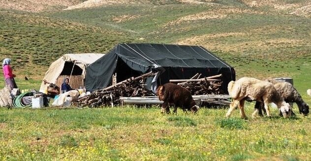 شاهنامه عزیزترین عضو در جهیزیه دختران لر/استاد تنهایی تاریخ موسیقی کهگیلویه و بویر احمد شاهنامه عزیزترین عضو در جهیزیه دختران لر/استاد تنهایی تاریخ موسیقی کهگیلویه و بویر احمد