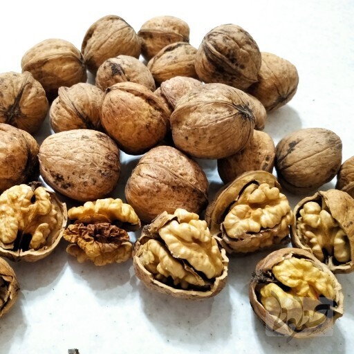 قاچاق گردو  
