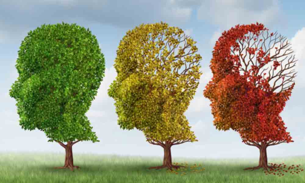 ویروسهای نهفته باعث آلزایمر میشوند ویروسهای نهفته باعث آلزایمر میشوند