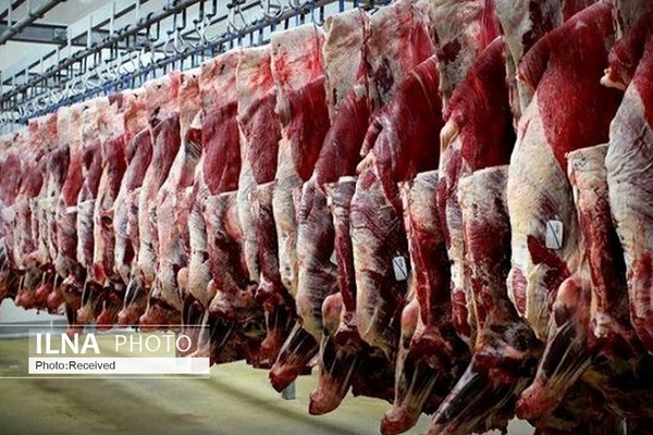 مجوز واردات ۱۰ هزار تن گوشت صادر شد