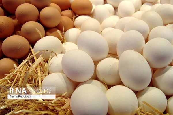 ۷۰ درصد قیمت تخم‌مرغ وابسته به نرخ نهاده است