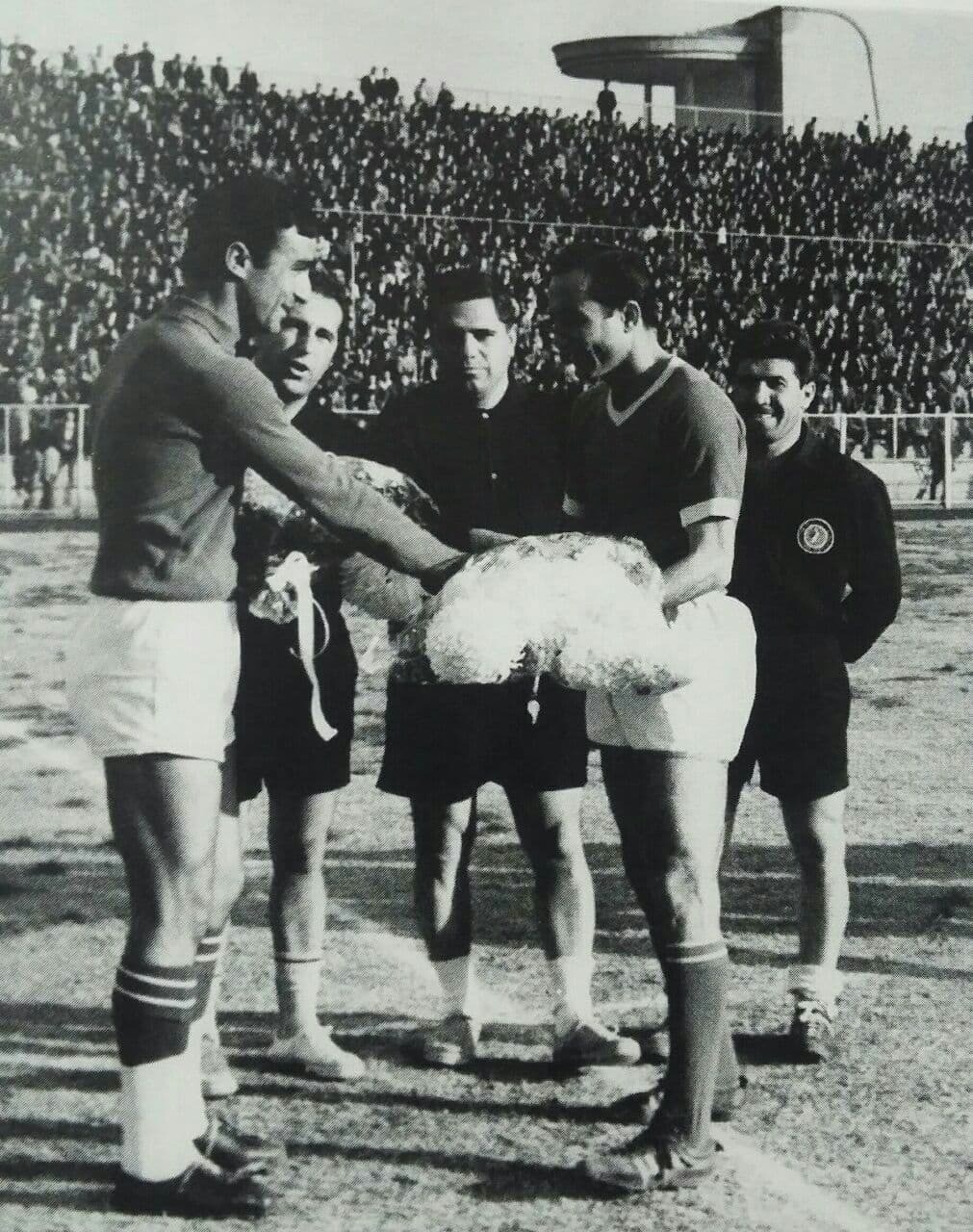 جمشید محمدی جمشید محمدی