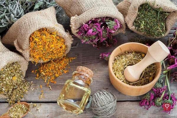 طب سنتی ایرانی هیچ مخالفتی با واکسیناسیون ندارد طب سنتی ایرانی هیچ مخالفتی با واکسیناسیون ندارد
