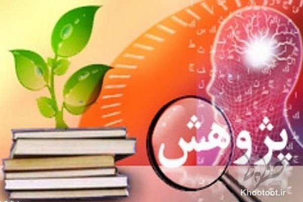 نظام آموزش عالی مانع کاربردی شدن ادبیات فارسی است