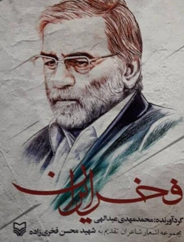 کتاب «فخر ایران» منتشر شد / شعر رسانهای تأثیرگذار در معرفی شهدا کتاب «فخر ایران» منتشر شد / شعر رسانهای تأثیرگذار در معرفی شهدا