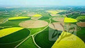 کشاورزی فراسرزمینی سرلوحه برنامه‌های بزرگترین بنگاه تولیدی- اقتصادی استان اردبیل