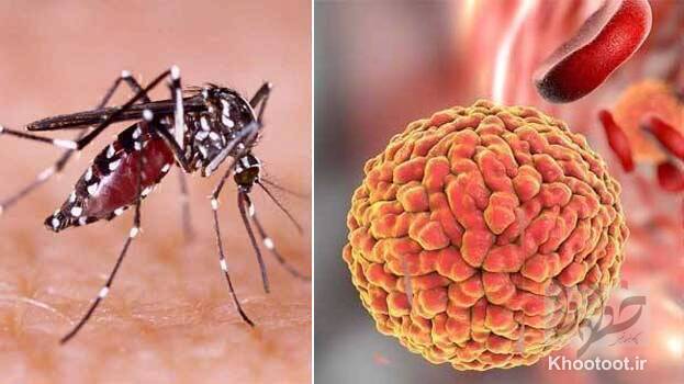 یک جهش می‌تواند ویروس زیکا را بسیار خطرناک‌تر کند