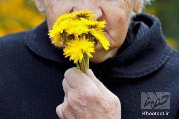 کاهش حس بویایی در سالمندان نشانه چه چیزی است؟