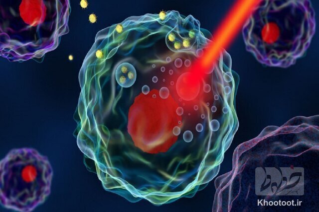 روشی جدید برای هدف گرفتن سلول‌های سرطانی کشف شد