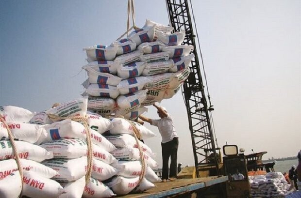 رشد ۲۲۱ درصدی واردات برنج/کشور‌های هند، پاکستان در صدر لیست واردات