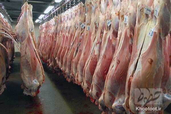سیستم توزیع ناکارآمد گوشت/ قیمت‌ها منطقی نیست