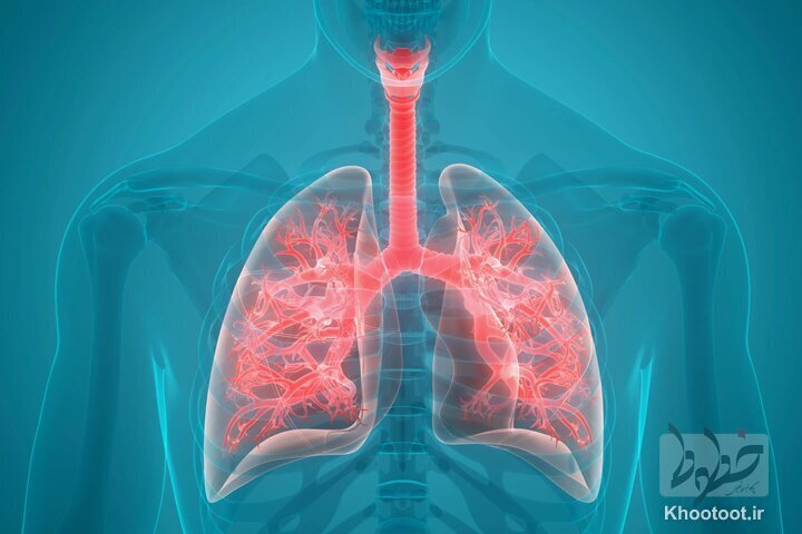 از ورود ویروس‌ها به مجرای تنفسی جلوگیری می‌شود