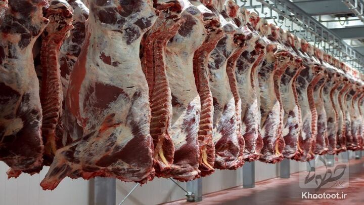 ورود گوشتهای گرم وارداتی به کشور / دو روز آینده پشت ویترین مغازهها مینشیند ورود گوشتهای گرم وارداتی به کشور / دو روز آینده پشت ویترین مغازهها مینشیند