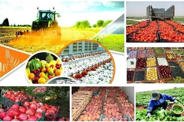 رصد هوشمند تولیدات کشاورزی