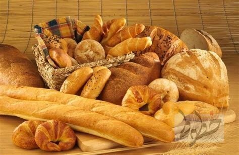 صادرات نان‌ 