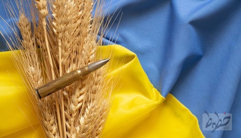  گندم اوکراین