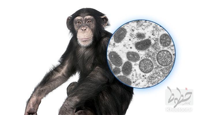 آیا آبله میمون به ایران می رسد؟