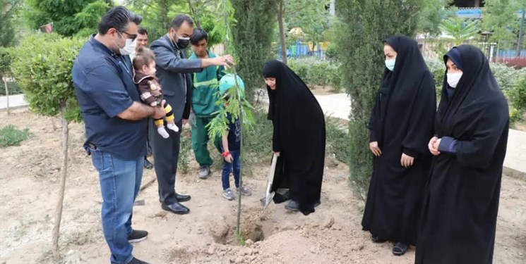 اجرای طرح  هر نوزاد یک درخت در تهران