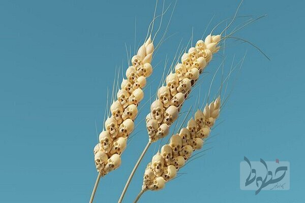 نگرانیها درباره وقوع قحطی درجهان گندم