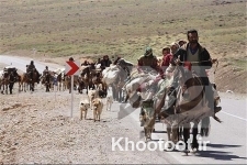 کوچ بهاره عشایر استان تهران شد
