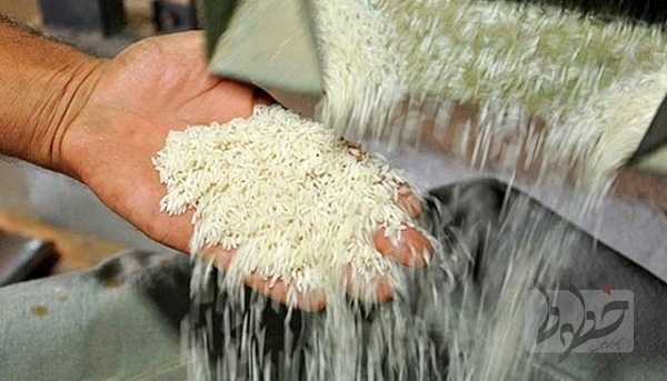 برنج خارجی ۱۰ تا ۲۰ درصد گران شد برنج خارجی