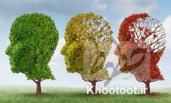 تغییر فاکتورهای پرخطر زوال عقل با افزایش سن تغییر فاکتورهای پرخطر زوال عقل با افزایش سن