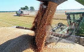 روند افزایشی قیمت جهانی گندم ادامه دارد روند افزایشی قیمت جهانی گندم ادامه دارد