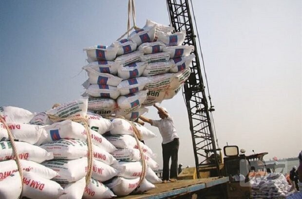  واردات برنج 