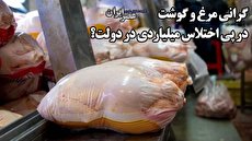اختلاس و فساد به غارت از سفره مردم رسید/ حالا معلوم شد چرا مرغ یک&zwnj;دفعه گران شد؟ (فیلم)