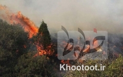 بیش از ۴ هکتار از جنگلهای گیلان در آتش سوخت بیش از ۴ هکتار از جنگلهای گیلان در آتش سوخت