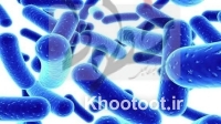 پنج بیمار مبتلا به وبا در کشور شناسایی شدند