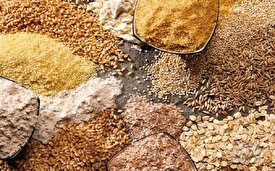 بحران غذا در جهان همچنان ادامه دارد بحران غذا