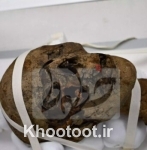 سر مومیایی 2000 ساله مصری در بریتانیا کشف شد