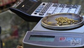 همزمان با ریزش قیمت طلا  حباب سکه چقدر بود؟