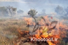 ۱۰ هکتار از مراتع کجین دشت دامغان در آتش سوخت | عملیات اطفا ادامه دارد ۱۰ هکتار از مراتع کجین دشت دامغان در آتش سوخت | عملیات اطفا ادامه دارد