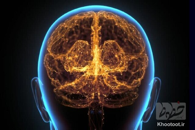 نورون‌های مغزیِ بیشتر انسان‌های امروزی نسبت به نئاندرتال‌ها