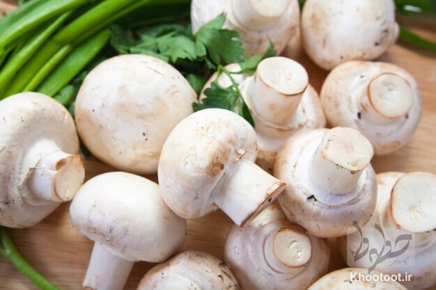 کاهش خطر ابتلا به سرطان با خوردن قارچ