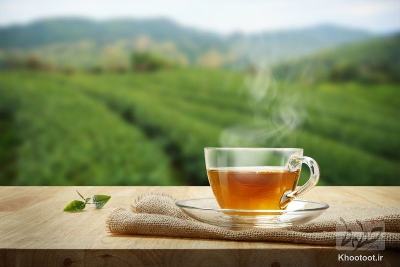 صادرات چای ایرانی در شش ماه سال جاری ۲۱.۶ میلیون دلار بوده است