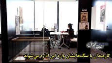 ببینید| برای اولین بار در جهان؛ یک اداره در ژاپن به کارمندانش اجازه داده با حیوانات خانگی&zwnj;شان به محل کار بیایند