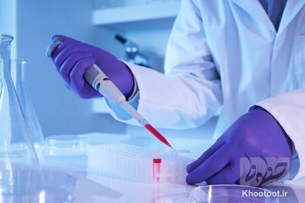 موفق به تولید پلیمرهایی با منشا انسانی، گیاهی و حیوانی شدند موفق به تولید پلیمرهایی با منشا انسانی، گیاهی و حیوانی شدند