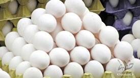 افزایش ۵ هزار تنی تولید تخم مرغ نسبت به مهر ماه