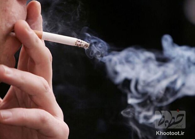 وزارت بهداشت در مبارزه با دخانیات موفق نیست