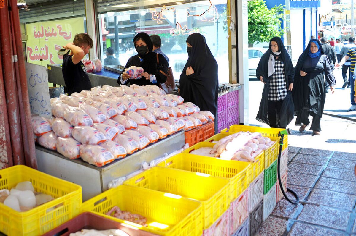 نائب رئیس اتحادیه مرغداران: تولید مرغ برای مرغدار ۶۵ هزار تومان تمام میشود؛ فروش آن به قیمت ۴۵ هزار تومان، تحمیل ضرر به تولیدکننده است نائب رئیس اتحادیه مرغداران: تولید مرغ برای مرغدار ۶۵ هزار تومان تمام میشود؛ فروش آن به قیمت ۴۵ هزار تومان، تحمیل ضرر به تولیدکننده است