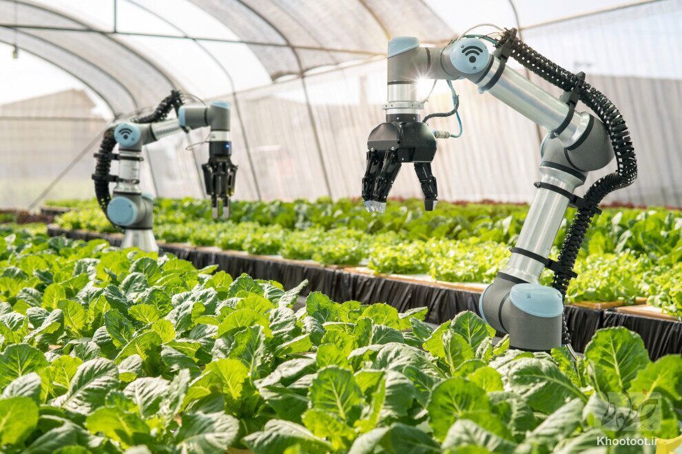رباتی هوشمند به کمک کشاورزان می‌آید
