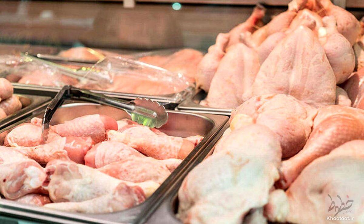 افزایش جوجه ریزی و عرضه مرغ از هفته های آتی| راهکار تنظیم بازار مرغ  حذف قیمت گذاری دستوری است
