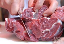 تشخیص گوشت فاسد با حسگر زیستی