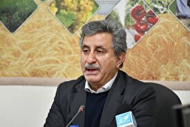 مهلت کشاورزی قراردادی 22 استان تمدید شد