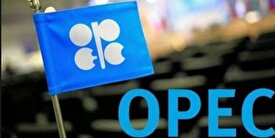 اوپک ۵۴ درصد از نفت وارداتی هند تامین کرد