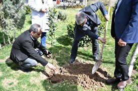 جزئیات برنامه های سازمان محیط زیست استان تهران برای روز درختکاری| برگزاری کارگاه آموزشی در کنار درختکاری