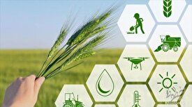 دستیابی به اقتدار و امنیت غذایی/گامی مثبت در راستای توسعه بخش کشاورزی